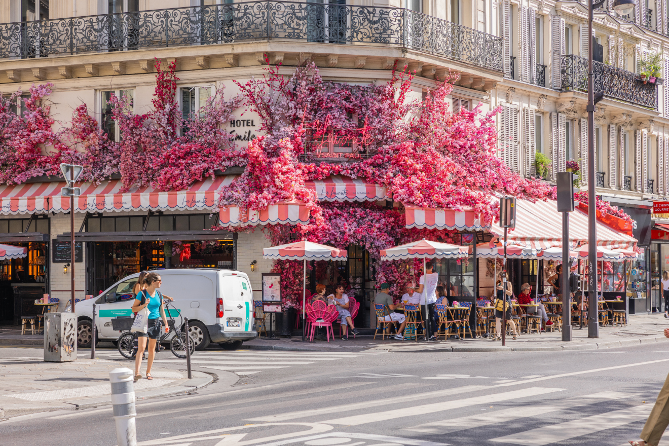 パリの花、時を超える美の物語
