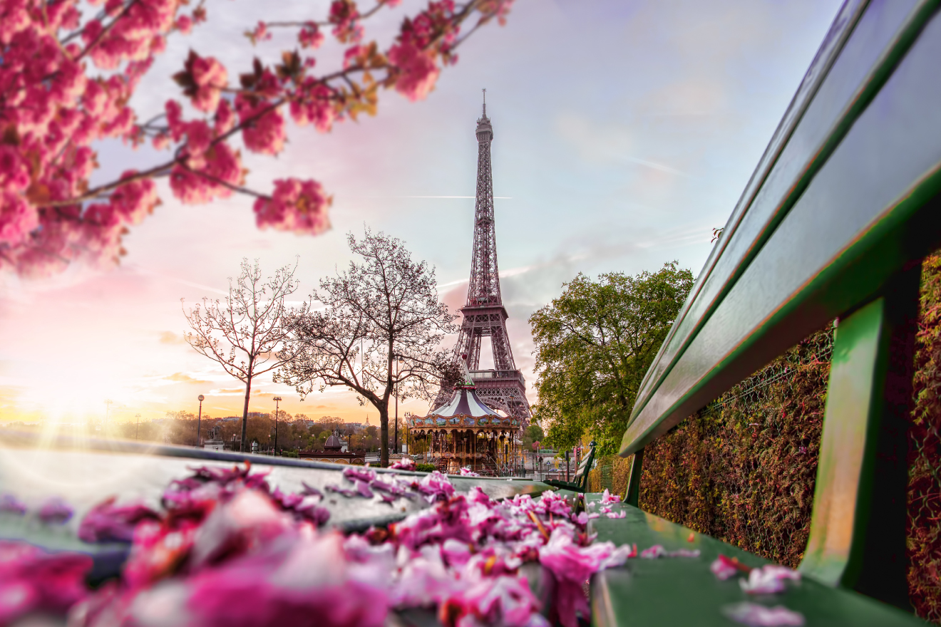 パリ、花が紡ぐ心の風景